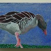 Looming Goose SOLD